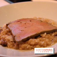 Pharamond : risotto