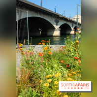 Petite Fleur Folie, le jardin éphémère sur les Berges