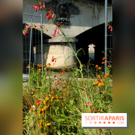 Petite Fleur Folie, le jardin éphémère sur les Berges