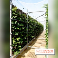 Le Paris sous les fraises des Galeries Lafayette