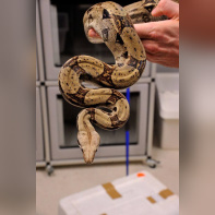 Parc zoologique de Paris : Zoo de Vincennes
