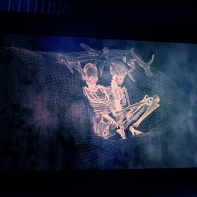 Préhistoire(s), l'enquête