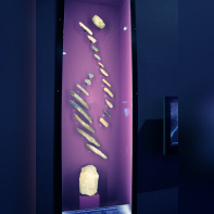 Préhistoire(s), l'enquête