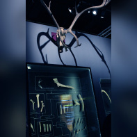 Préhistoire(s), l'enquête