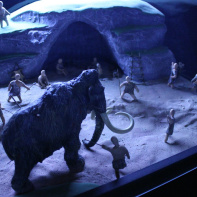 Préhistoire(s), l'enquête