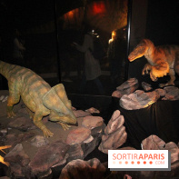 Autour des dinosaures au Palais de la Découverte