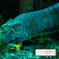 Autour des dinosaures au Palais de la Découverte