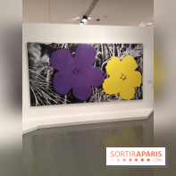 Andy Warhol au MAMVP