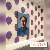 Andy Warhol au MAMVP