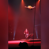Le 33e Festival Mondial du Cirque de Demain