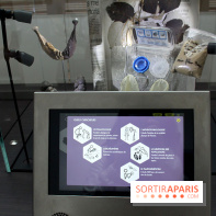 Le nouveau Musée de l'Homme