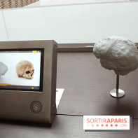 Le nouveau Musée de l'Homme