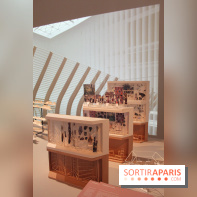 Le nouveau Musée de l'Homme