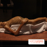 Le nouveau Musée de l'Homme 