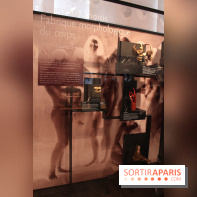 Le nouveau Musée de l'Homme 