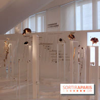 Le nouveau Musée de l'Homme 