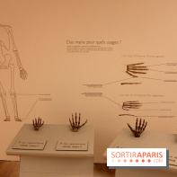 Le nouveau Musée de l'Homme 