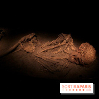 Le nouveau Musée de l'Homme 