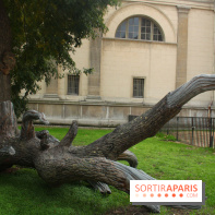 FIAC 2015, le hors-les-murs au Jardin des Plantes