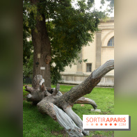 FIAC 2015, le hors-les-murs au Jardin des Plantes