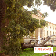 FIAC 2015, le hors-les-murs au Jardin des Plantes