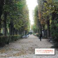 Rodin, le laboratoire de la création au Musée Rodin