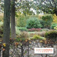 Rodin, le laboratoire de la création au Musée Rodin