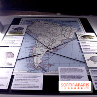 Darwin, l'exposition à la Cité des Sciences