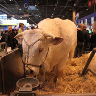 Salon de l'Agriculture 2012