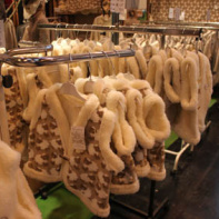 Salon de l'Agriculture 2012