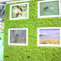 Odyssée Végétale 3D, Salon de l'Agriculture 2012