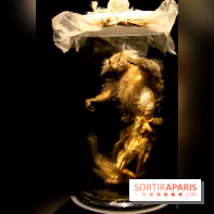 Persona, l'exposition terrifiante au Musée du Quai Branly