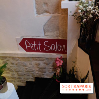 LSD : Les Souris Dansent