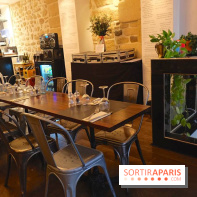 LSD : Les Souris Dansent