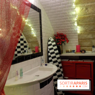 LSD : Les Souris Dansent