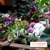 Mille & une orchidées au Jardin des Plantes, les photos