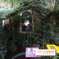 Mille & une orchidées au Jardin des Plantes, les photos