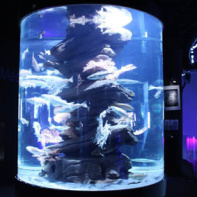 Plankton Invasion à l'Aquarium de Paris