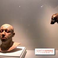 Carambolages au Grand Palais