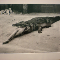 Helmut Newton | Crocodile, ballet de Pina Bausch