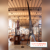 Magicien d'Os, les photos de l'expo