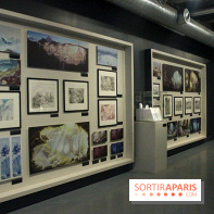 Le studio Blue Sky, les photos de Musée Art Ludique