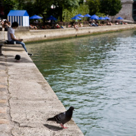 Les bords de Seine pour Paris plage