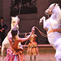 Ecuyères, le spectacle équestre du Musée vivant du cheval à Chantilly