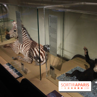 Exposition BéBés animaux à la Cité des Sciences, les photos