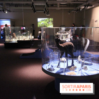 Exposition BéBés animaux à la Cité des Sciences, les photos