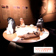 Exposition BéBés animaux à la Cité des Sciences, les photos