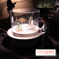 Exposition BéBés animaux à la Cité des Sciences, les photos