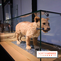 Exposition BéBés animaux à la Cité des Sciences, les photos
