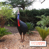 Le Labyrinthe de Thoiry